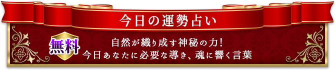 タロット占い特集 カードが示す神秘のメッセージ 出会い 結婚 幸福な人生 恋の行方 転機 あなたの未来を予言 Cocoloni 本格占い館