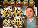 「新橋の母」激励的中鑑定