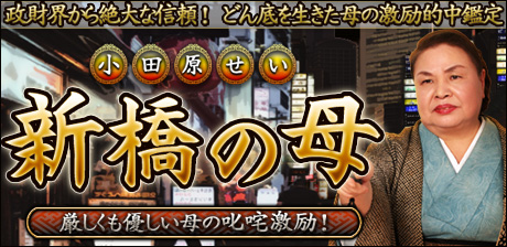 「新橋の母」激励的中鑑定