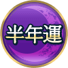 半年運